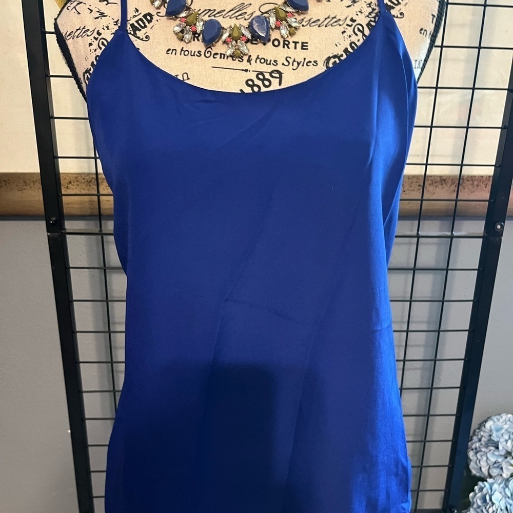 J. Crew Women's Blue Top